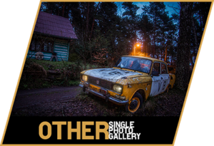 single-other-gallery