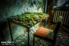 abandoned-urbex-hotel-europe-germany-moss