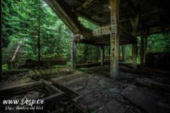 sauersack-urbex-cinovy-dul-opusteny-beton