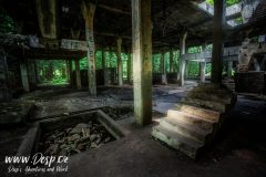 sauersack-urbex-cinovy-dul-opusteny*schodsite-02