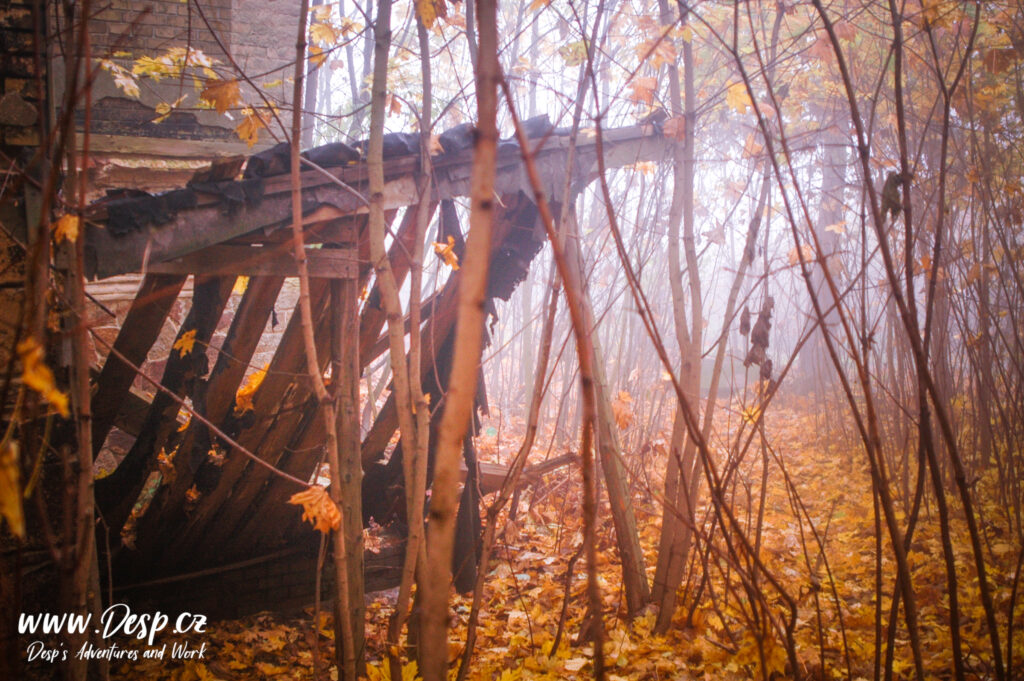 opustena-vila-pfaffenohof-litomerice-urbex-v-mlze-rok-2012-02