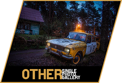 single-other-gallery